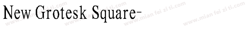 New Grotesk Square字体转换